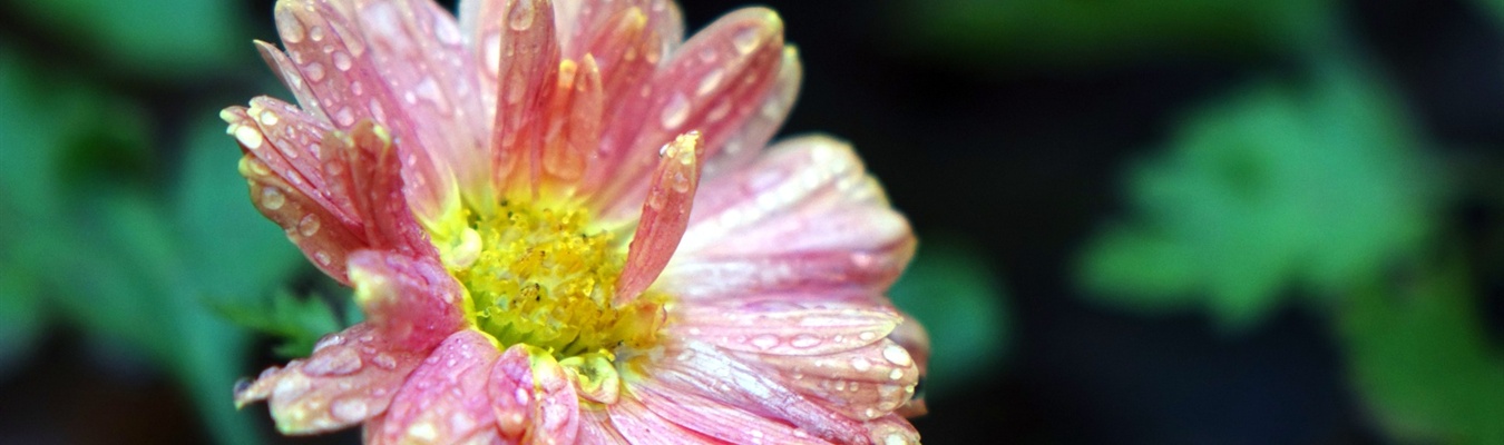 Using syslog-ng to forward SNMP traps to Splunk