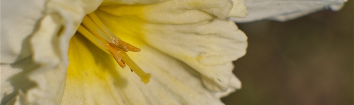 Elasticsearch 7.14 and OpenSearch 1.0 are available – and work fine with syslog-ng