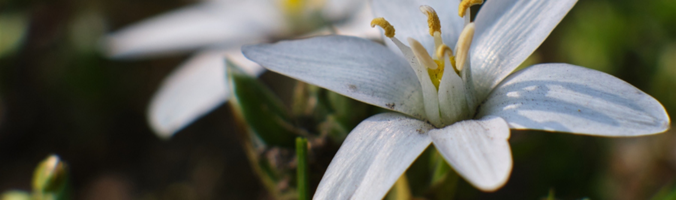 Collecting process accounting logs on Linux with syslog-ng