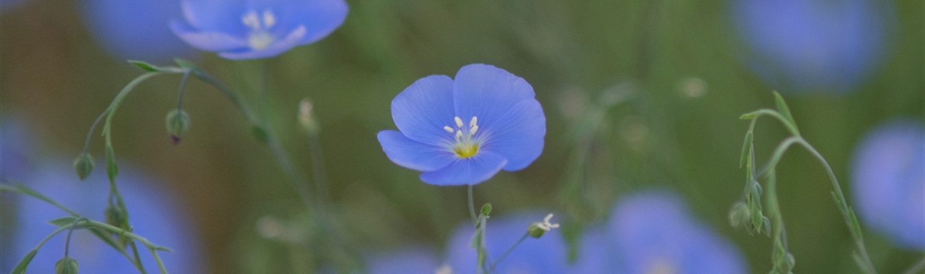 Reducing the complexity of log management