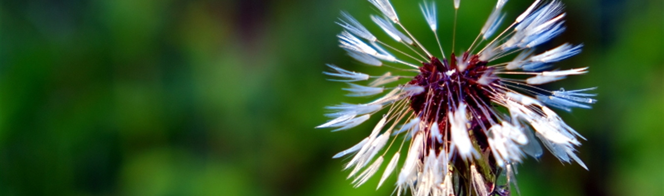 syslog-ng and Elasticsearch 7: getting started on RHEL/CentOS