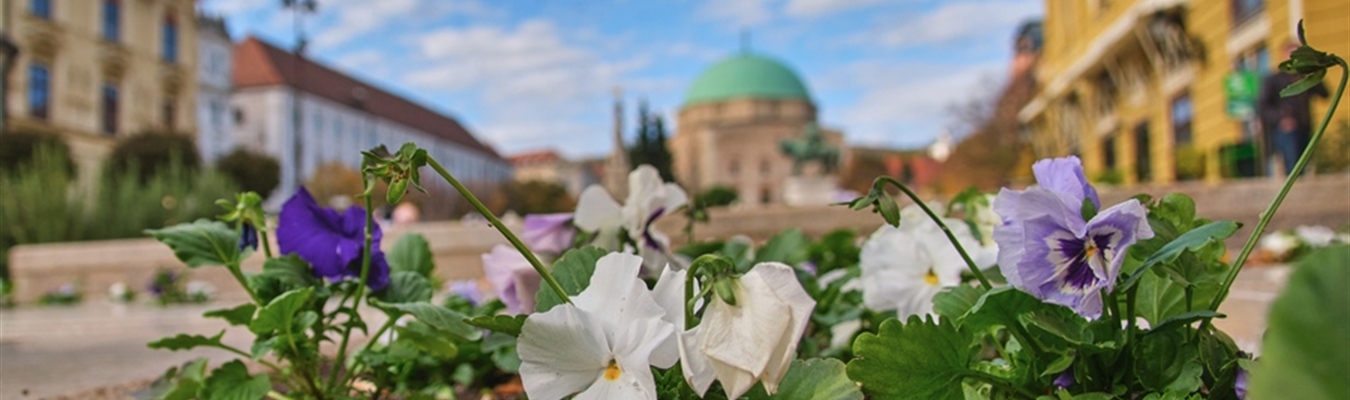 The syslog-ng stats-exporter() now has all functionality of syslog-ng-ctl