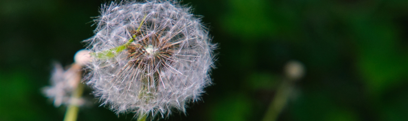 syslog-ng OSE 4.7.1 retires some old platforms