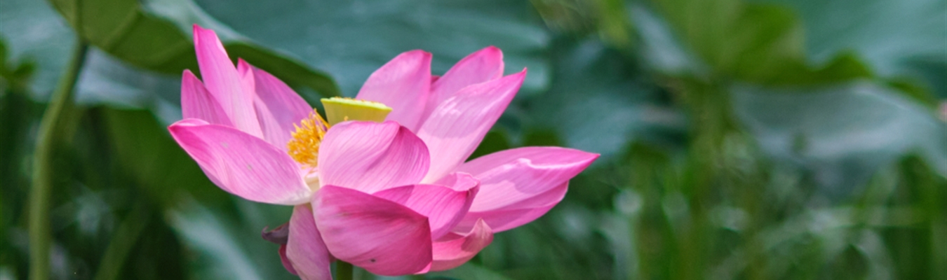 A call for syslog-ng testing