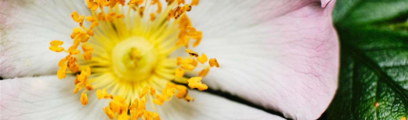 Installing syslog-ng in Amazon Linux 2, including Graviton2