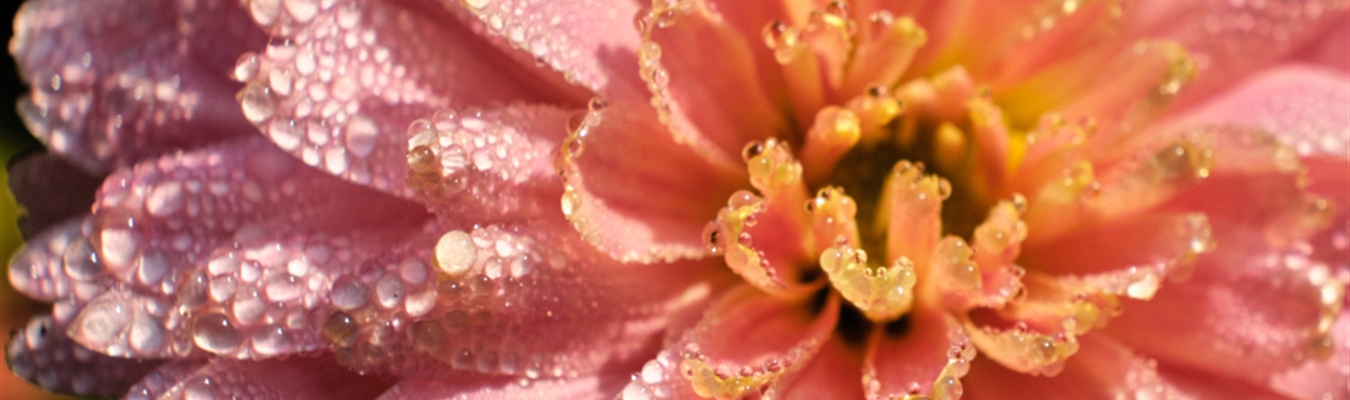 Running syslog-ng in Bastille – revisited