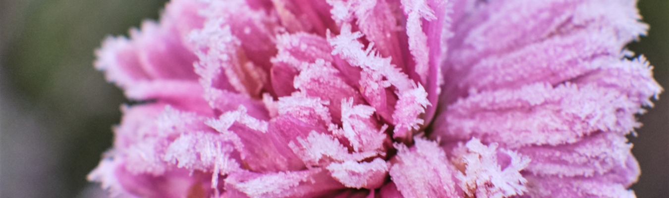 Consuming logs from a Kafka topic using syslog-ng