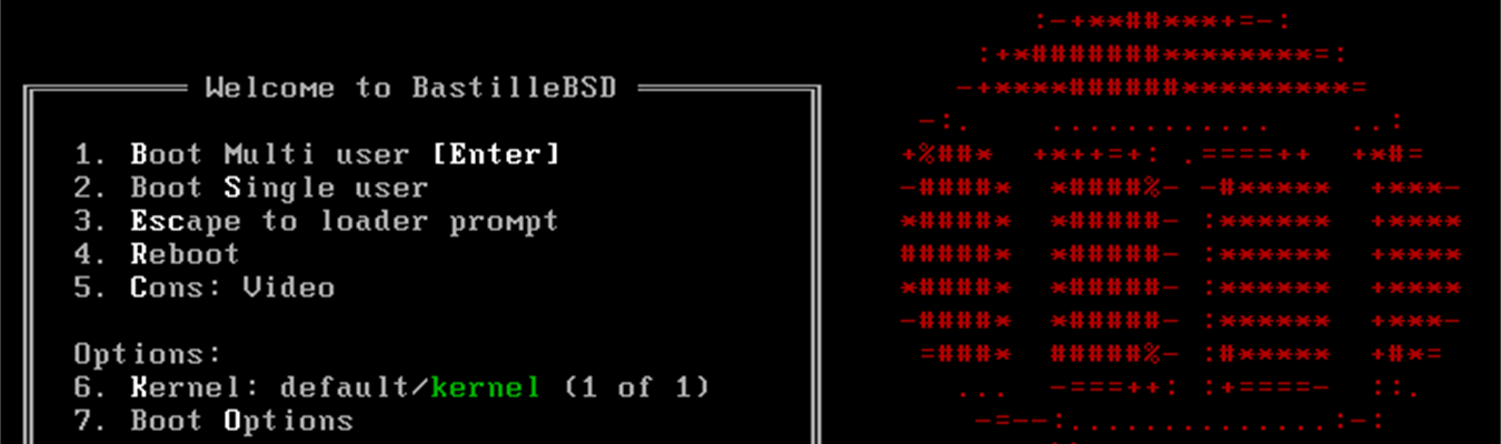 Running syslog-ng in BastilleBSD