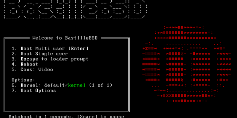 Running syslog-ng in BastilleBSD