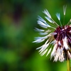 syslog-ng and Elasticsearch 7: getting started on RHEL/CentOS